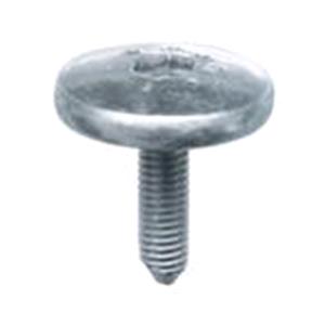 Body, Restagraf Body, Restagraf