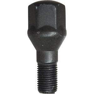 Body, Restagraf Body, Restagraf