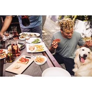 Campingaz Attitude 2100 LX Black Portable Gas BBQ + FREE Regulator & Hose Kit