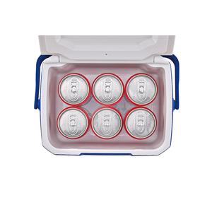 Coleman 5QT Performance Cooler Box - 4.7L