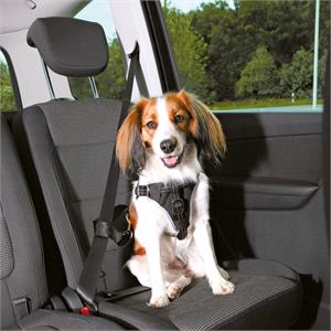 Dog and Pet Travel Accessories, Super Comfort Seat Belt Harness for Dogs   Small Dogs, Trixie