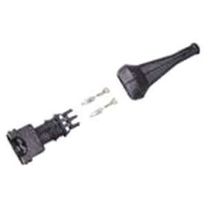 Body, Restagraf Body, Restagraf