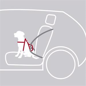 Super Comfort Seat Belt Harness for Dogs - Small Dogs