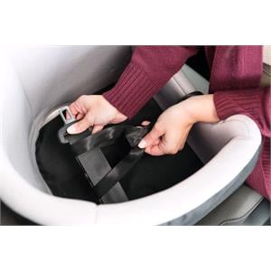 Premium Dog Car Booster Seat