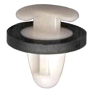 Body, Restagraf Body, Restagraf