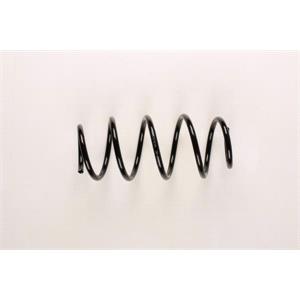 Coil Springs, FAI AutoParts Front Coil Spring (Single Unit)   SP079, FAI AutoParts