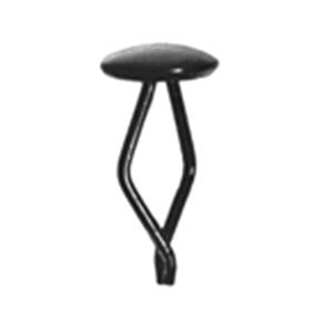 Body, Restagraf Body, Restagraf