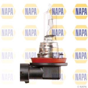 Bulbs   by Bulb Type, Napa 12V 65W H9 PGJ19 5 Headlamp Single Boxed Bulb, NAPA