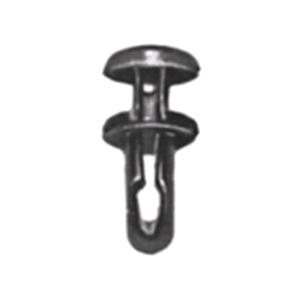 Body, Restagraf Body, Restagraf