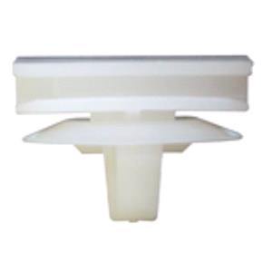 Body, Restagraf Body, Restagraf