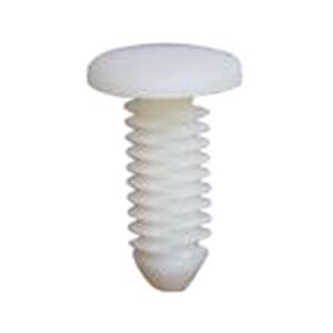 Body, Restagraf Body, Restagraf