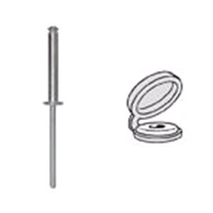 Body, Restagraf Body, Restagraf