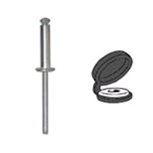 Body, Restagraf Body, Restagraf