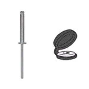 Body, Restagraf Body, Restagraf