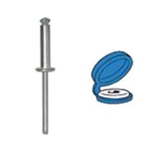 Body, Restagraf Body, Restagraf