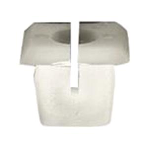 Body, Restagraf Body, Restagraf