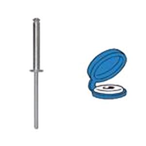 Body, Restagraf Body, Restagraf