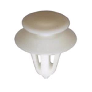 Body, Restagraf Body, Restagraf