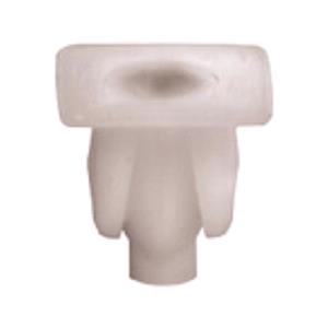 Body, Restagraf Body, Restagraf