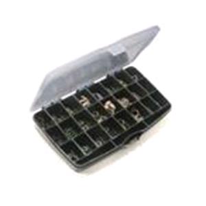 Body, Restagraf Body, Restagraf