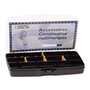 Body, Restagraf Body, Restagraf