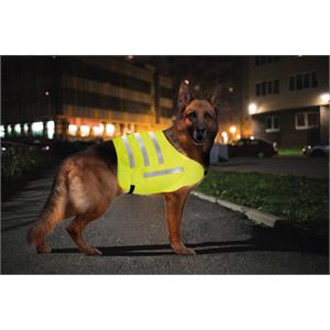 Dog and Pet Travel Accessories, SAFETY VEST FOR DOGS SIZE "L", Lampa