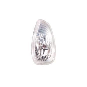 Wing Mirrors, Right Wing Mirror Indicator (Clear Lens) for RENAULT MASTER III van, 2010 Onwards, 