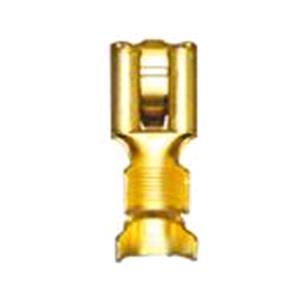 Body, Restagraf Body, Restagraf