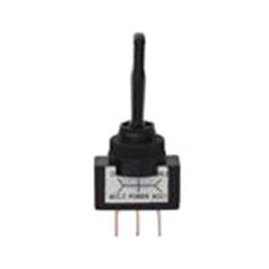 Body, Restagraf Body, Restagraf