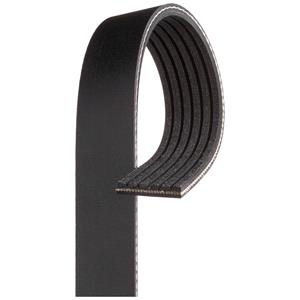 V ribbed Belts, Gates V Ribbed Drive Belt   6PK1935 (6PK1935), Gates