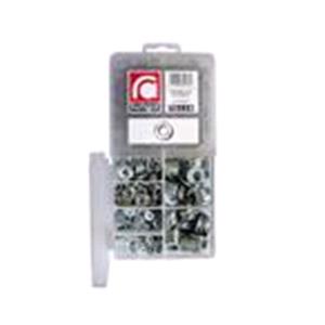 Body, Restagraf Body, Restagraf