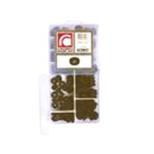 Body, Restagraf Body, Restagraf