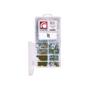 Body, Restagraf Body, Restagraf