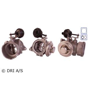 Egr Valve, DRI EGR Valve   717710021, DRI