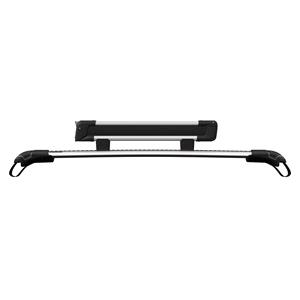 Thule SnowPack S (for 2 pair of skis)