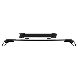 Thule SnowPack S (for 2 pair of skis)