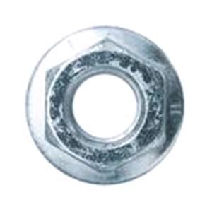 Body, Restagraf Body, Restagraf