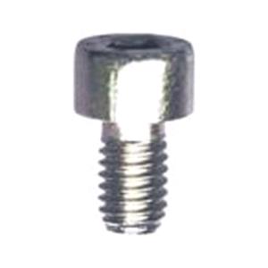 Body, Restagraf Body, Restagraf