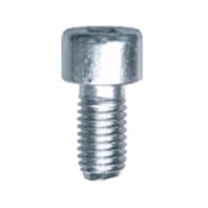 Body, Restagraf Body, Restagraf