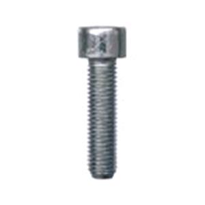 Body, Restagraf Body, Restagraf