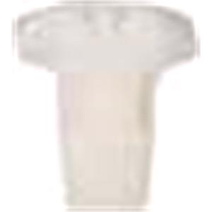 Body, Restagraf Body, Restagraf