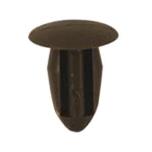 Body, Restagraf Body, Restagraf