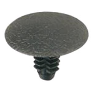 Body, Restagraf Body, Restagraf