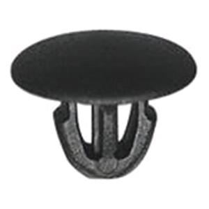 Body, Restagraf Body, Restagraf