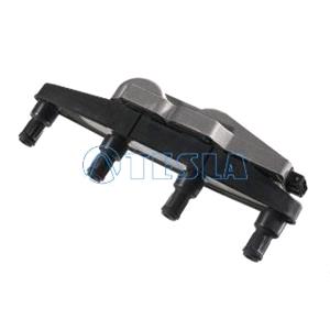 Ignition Coils, Tesla Ignition Coil   CL008, Tesla