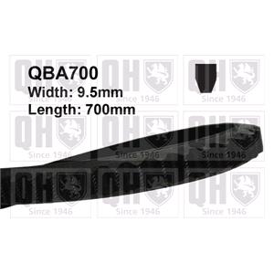 V belt, Quinton Hazell V Groove Drive Belt   QBA700, Quinton Hazell
