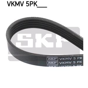 V ribbed Belts, SKF V Ribbed Drive Belt, SKF
