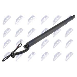 Gas Spring, Tray (boot/cargo Bay), NTY Gas Spring (single) AE BM 079, NTY