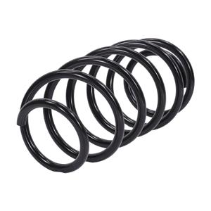 Coil Springs, NTY Coil Springs (ASZ PE 003), NTY