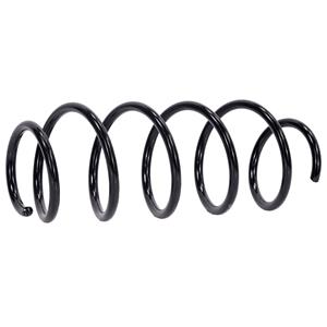 Coil Springs, NTY Coil Springs (ASZ PL 043), NTY